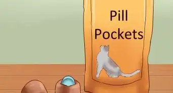 Give a Cat a Pill