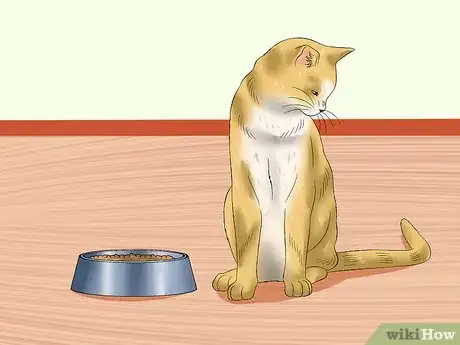 Image titled Tell if a Cat Is in Pain Step 1