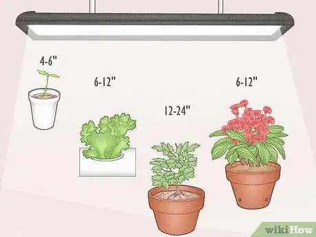 Image titled Can LED Lights Grow Plants Step 10