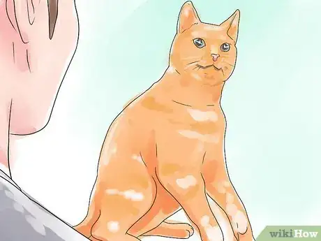 Image titled Recognize Feline Heart Disease Step 11