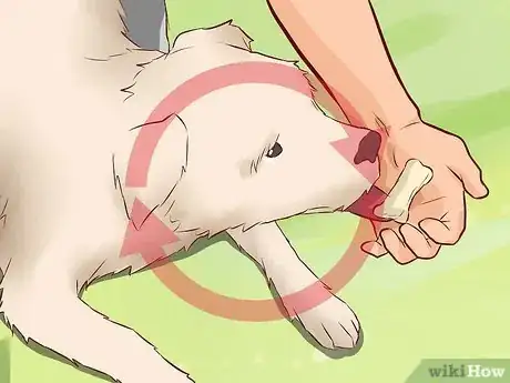 Image titled Discourage a Dog From Biting Step 12