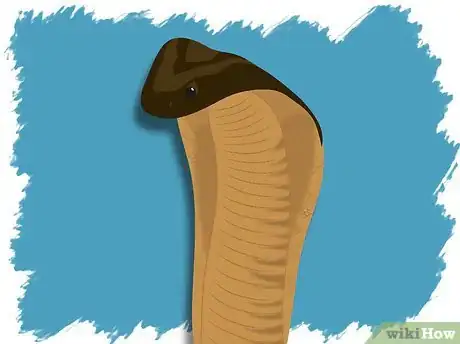 Image titled Identify a Venomous Snake Step 14