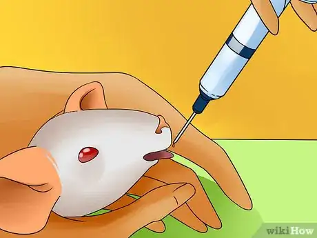 Image titled Give a Mouse or Other Small Rodent Oral Medication Step 8