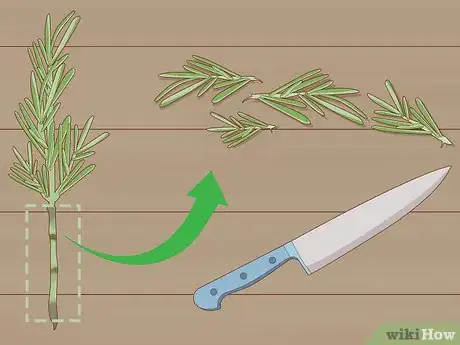 Image titled Grow Rosemary Step 2