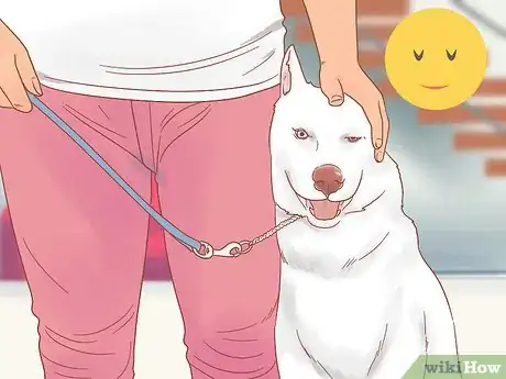 Image titled Get a Dog to Stop Whining Step 9