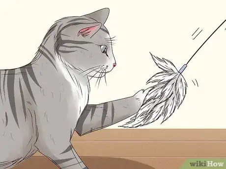 Image titled Get a Cat to Stop Meowing Step 6