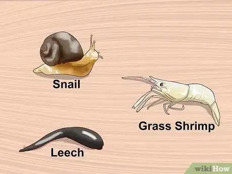 Image titled Make Fish Bait Without Worms Step 10