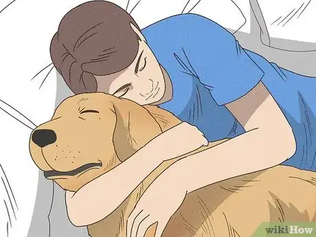 Image titled Keep Your Dog Calm After Neutering Step 3