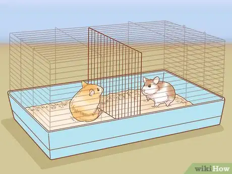 Image titled Introduce Two Dwarf Hamsters Step 14