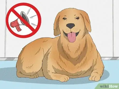 Image titled Keep Your Dog Calm After Neutering Step 1