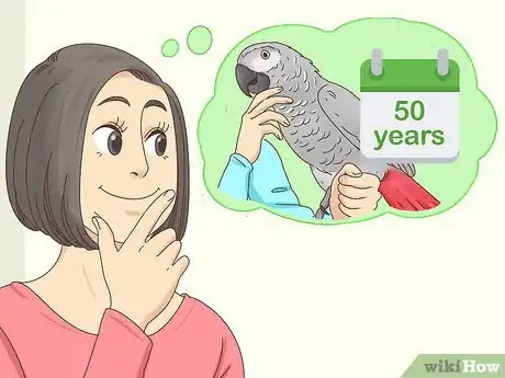 Image titled Choose an African Grey Parrot Step 1