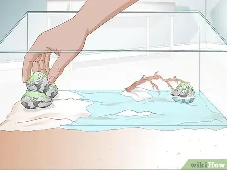 Image titled Take Care of a Purple Thai Devil Crab Step 4