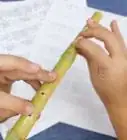 Make a Bamboo Flute