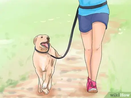 Image titled Hold a Dog's Leash Step 12