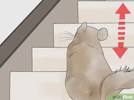 Image titled Play with Your Pet Chinchilla Step 5