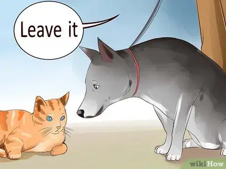 Image titled Keep Your Dog from Chasing Cats Step 10