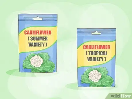 Image titled Grow Cauliflower Step 2