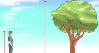 Measure the Height of a Tree