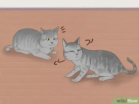 Image titled Know if Cats Are Playing or Fighting Step 9