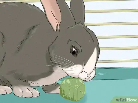 Image titled Stop a Bunny from Chewing Its Cage Step 7