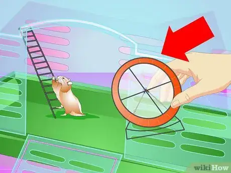 Image titled Make Your Hamster Live Longer Step 3