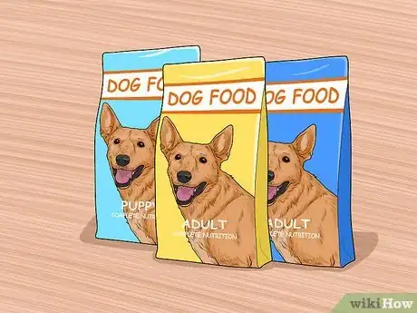 Image titled Prepare Your Household for a New Dog Step 5