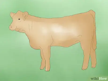 Image titled Help a Cow Give Birth Step 1