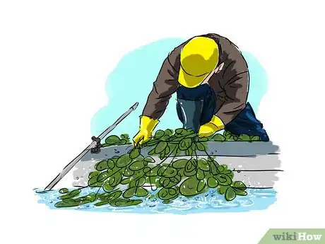 Image titled Remove Lily Pads Step 11