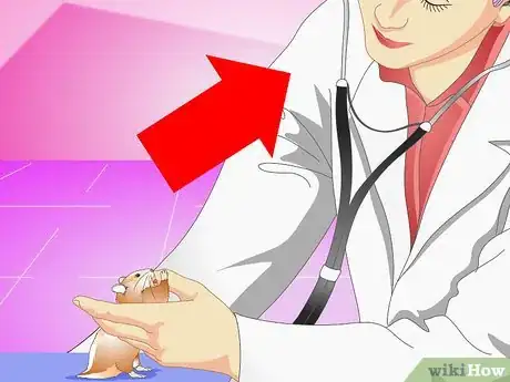 Image titled Make Your Hamster Live Longer Step 7