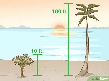 Image titled Identify Palm Trees Step 6