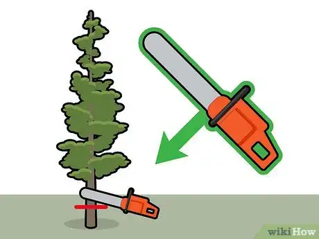Image titled Kill Cedar Trees Step 17