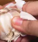 Peel a Garlic Clove