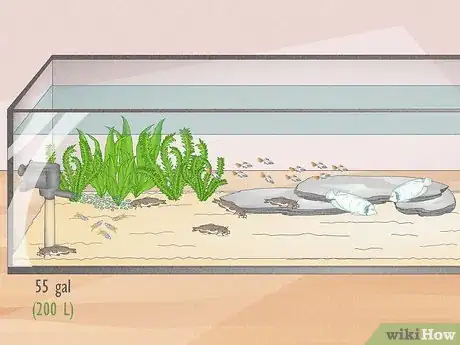 Image titled Know How Many Fish You Can Place in a Fish Tank Step 5