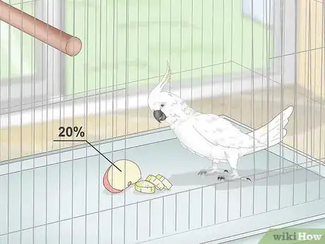 Image titled Take Care of Cockatoos Step 6