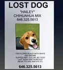 Make an Effective Missing Pet Poster