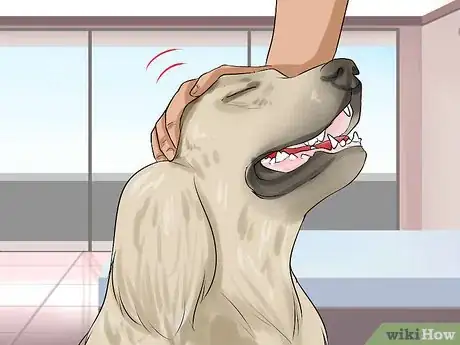 Image titled Give a Stubborn Dog a Bath Step 11