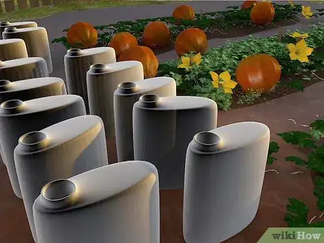 Image titled Grow Giant Pumpkins Step 15