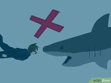 Image titled Prevent a Shark Attack Step 11