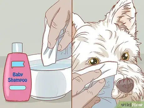 Image titled Remove a Tear Duct Stain from White Dogs Step 2