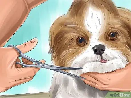 Image titled Puppy Cut a Shih Tzu Step 6