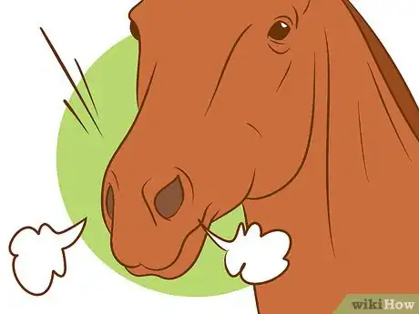 Image titled Stop a Horse from Bucking Step 15