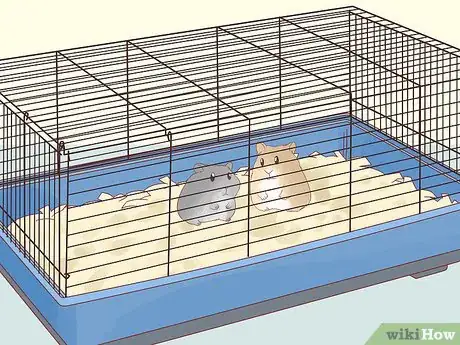 Image titled Safely Keep Multiple Hamsters Step 4