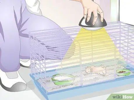 Image titled Wake up Your Hamster Without Scaring It Step 7