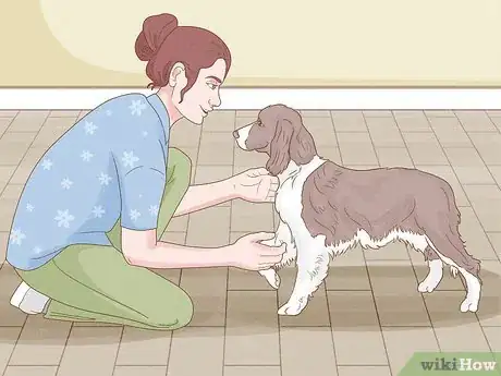 Image titled Make Your Dog More Playful Step 11
