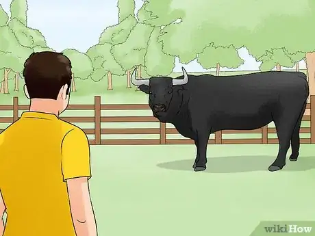 Image titled Avoid or Escape a Bull Step 2