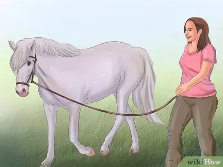 Image titled Get Your Horse to Trust and Respect You Step 9