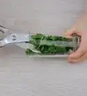 Cut Parsley