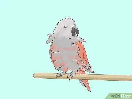 Image titled Know if Your Bird Is Sick Step 5