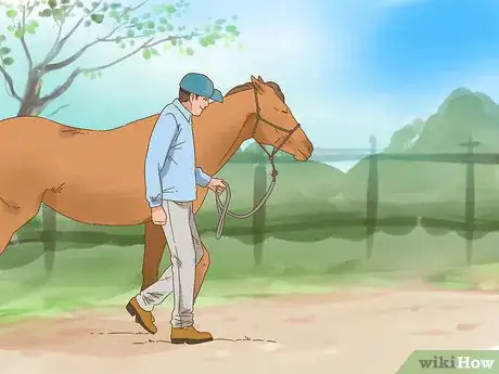 Image titled Put Down a Horse Step 10