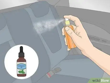Image titled Get a Mouse Out of Your Car Step 1
